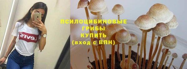 МДПВ Покровск