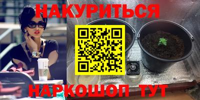 прущая мука Партизанск