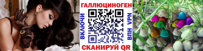 Галлюциногенные грибы Psilocybe Углич