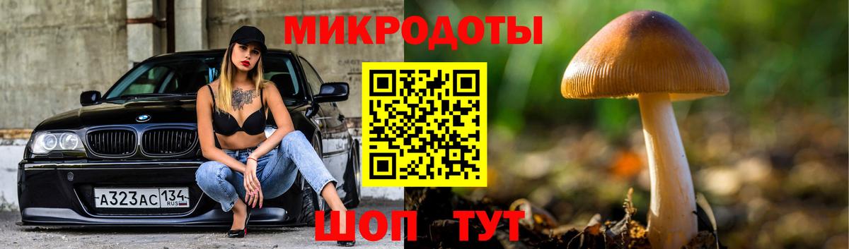 Псилоцибиновые грибы Psilocybe Углич